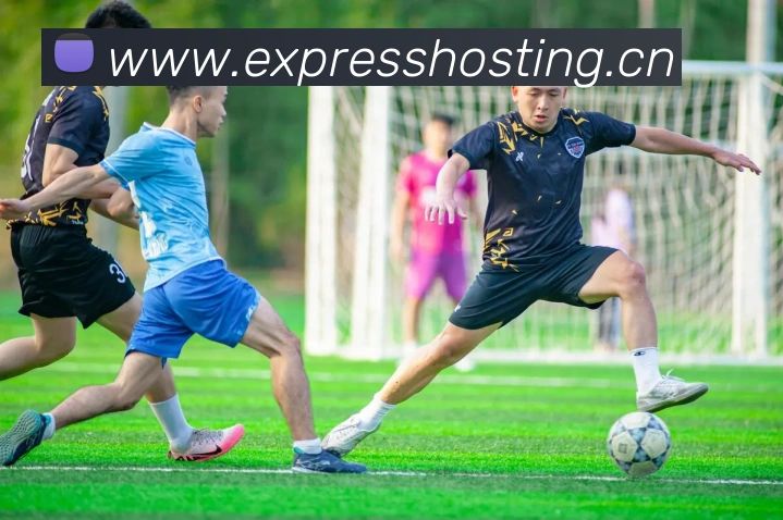 多媒体互动体验